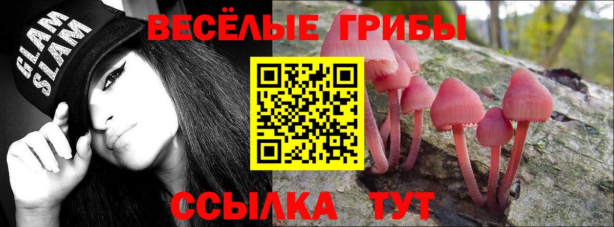 Псилоцибиновые грибы мухоморы  Вход с VPN  Кушва  наркошоп  Галлюциногенные грибы мицелий 