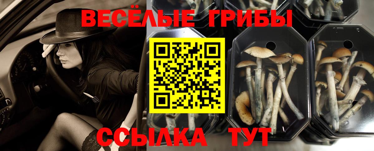 Псилоцибиновые грибы GOLDEN TEACHER Кушва
