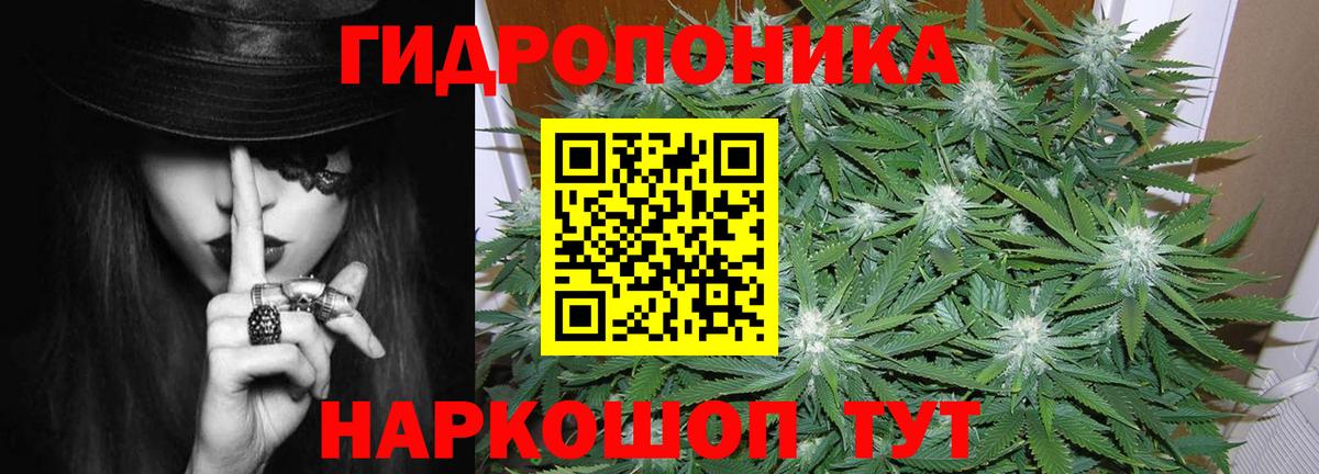 Марихуана гибрид Кушва